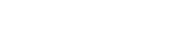 IT X Partner